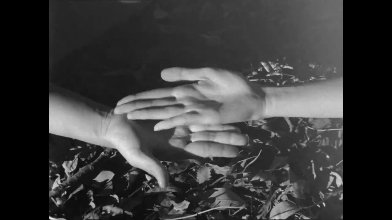 let me tell you a secret - TRAILER