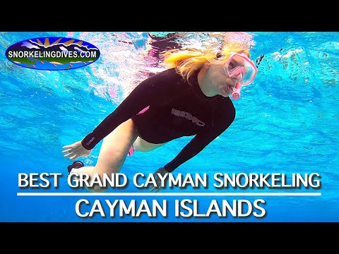 Best Grand Cayman Snorkeling