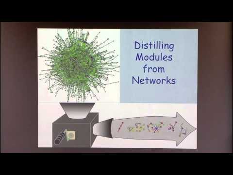 Introduction to Biological Network Analysis III: Identifying Network Modules