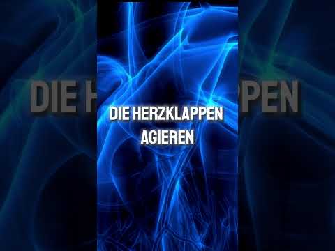 Herz-Kreislauf-System verstehen: #Herz  #Blutkreislauf #Medizin