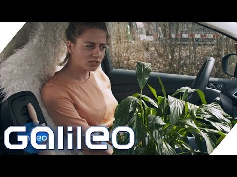 Darf ich in meinem Auto wohnen? | Galileo | ProSieben