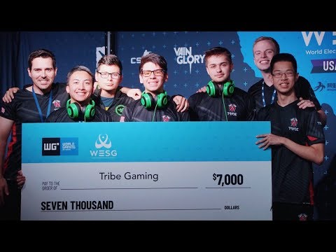 TRIBE vs VISION GAMING - Game 5 | WESG USA Qualifiers Finals