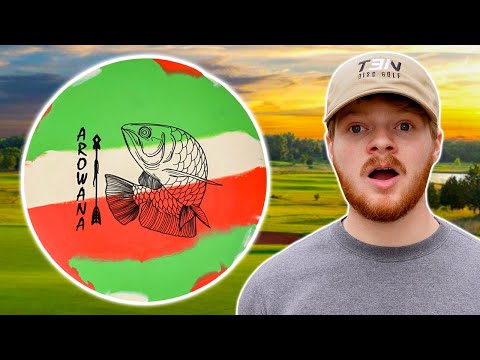 The Best Throwing Putter On The Market?! | Elevation Discs ...