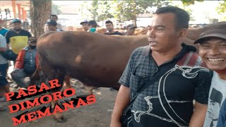 Download lagu Sapi pedaging pasar DIMORO BLITAR memanas mp3