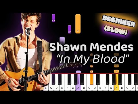 Learn To Play In My Blood Shawn Mendes on Piano! (Beginner) SLOW 50% Speed