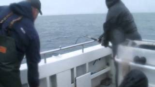preview picture of video 'Halibut Charter Ninilchik, AK July 2012'