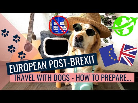 TRAVELLING TO EUROPE WITH DOGS POST-BREXIT!