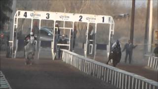 EL SEÑOR DE LAS CANAS VS EL PIKADIENTES