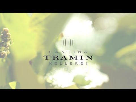 Cantina Tramin video