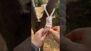 How to Tie a Hangman's Noose Knot (easy method) #knots #knotskill #outdoors #rope #ropetrick