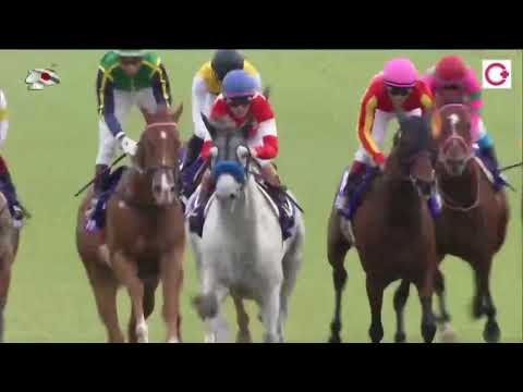 2017短途馬錦標 2017 Sprinters Stakes G1