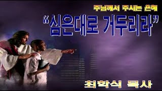 심은대로 거두리라 / 갈6:7-8