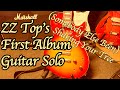 ZZ Top (Somebody Else Been) Shaking Your Tree Solo Cover