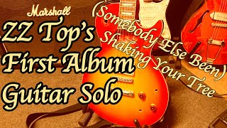 ZZ Top (Somebody Else Been) Shaking Your Tree Solo Cover