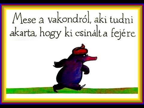 zsírvesztés előtte és utána