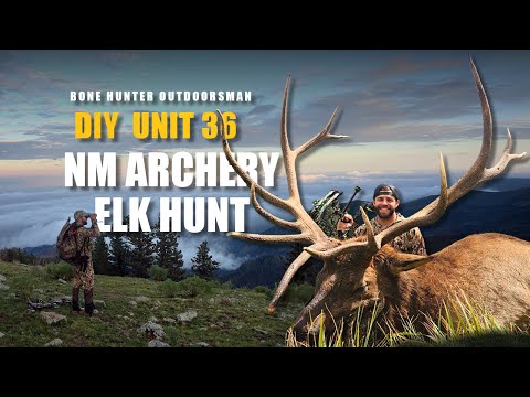 Backcountry Elk Hunting on Public Land | Unit 36 DIY