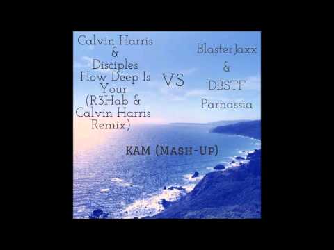 Calvin Harris & Disciples - How Deep Is Your Love VS BlasterJaxx & DBSTF - Parnassia KAM (Mash-Up)
