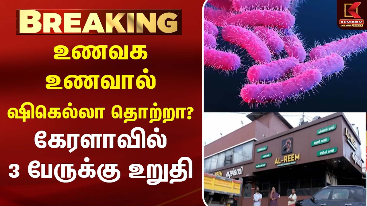 உணவக உணவால் ஷிகெல்லா தொற்றா? கேரளாவில் 3 பேருக்கு உறுதி | Shigella Virus | Kumudam News உணவக உணவால் ஷிகெல்லா தொற்றா? கேரளாவில் 3 பேருக்கு உறுதி | Shigella Virus | Kumudam News