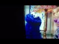 Cookie Monster PBS
