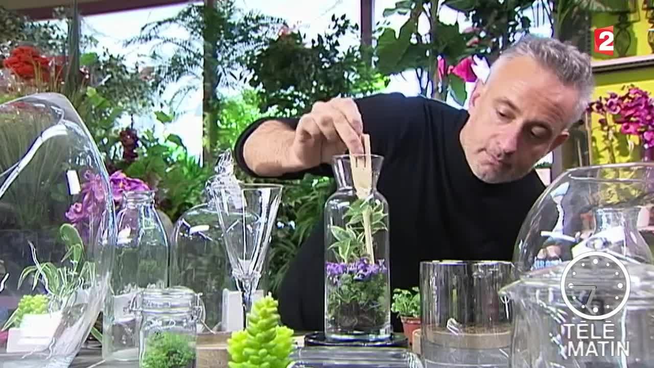Watch Pots En Verre Avec Couvercle Now Des plantes en bocal
