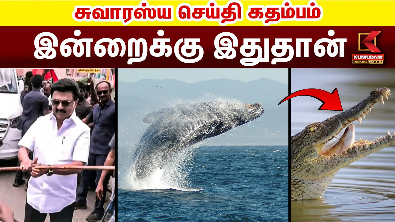 இன்றைய நிகழ்வுகள் சுவாரஸ்ய செய்தி கதம்பம் | Kumudam News | DMK| EPS | Tamilnadu Edraid | Actor