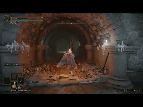 What in the maze runner leyndell catacombs is this 2 - Elden Ring