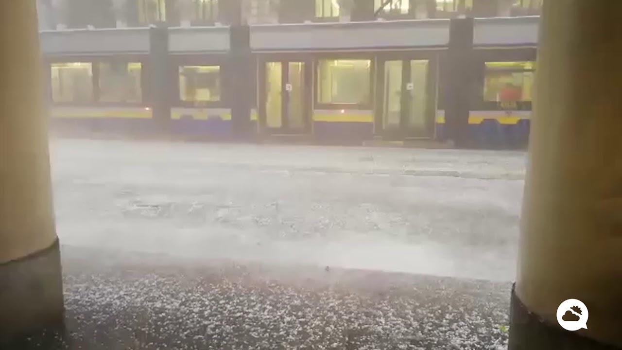 youtube video id=YYMtmMxFSqk