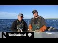 Manitobans At Odds Over Lake Winnipeg Walleye