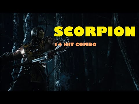 Mortal Kombat X: Scorpion 14 Hit Combo