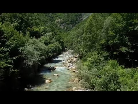 Petrit Çarkaxhiu - DUL BEHARI