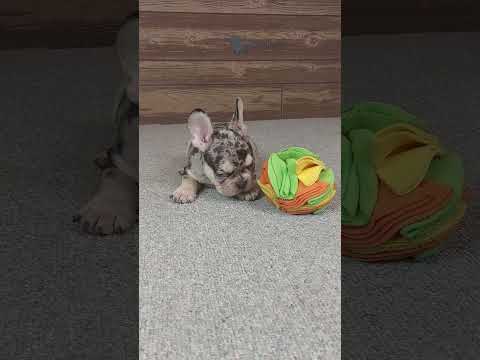 Video 3