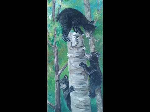 Time Lapse Wildlife Acrylic Painting 3 black bear cubs
