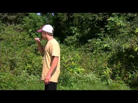 Kwakman Calls Unruly