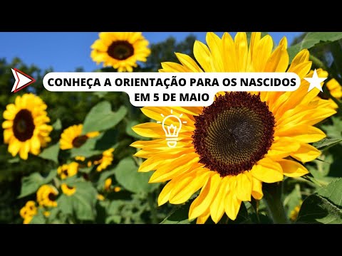 AS CARACTERÍSTICAS DOS NASCIDOS NO DIA 5 DE MAIO 