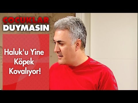 Haluk'u yine köpek kovalıyor! - Çocuklar Duymasın