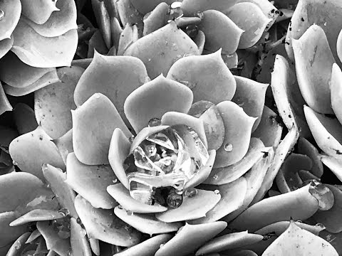 Week in Review with Doooovid - Episode 140 - 06-02-22