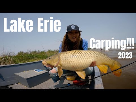 Fishing the Shimano 6000D Baitrunner - Lake Erie Long Point Bay Carp Fishing 2023