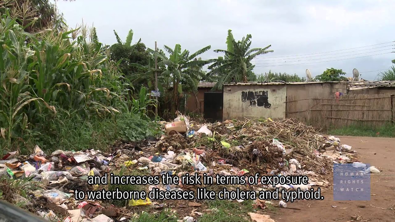 Zimbabwe: Water and Sanitation Crisis