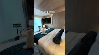 Icon of the Seas#Royal Caribbean #iconoftheseas #suite10148
