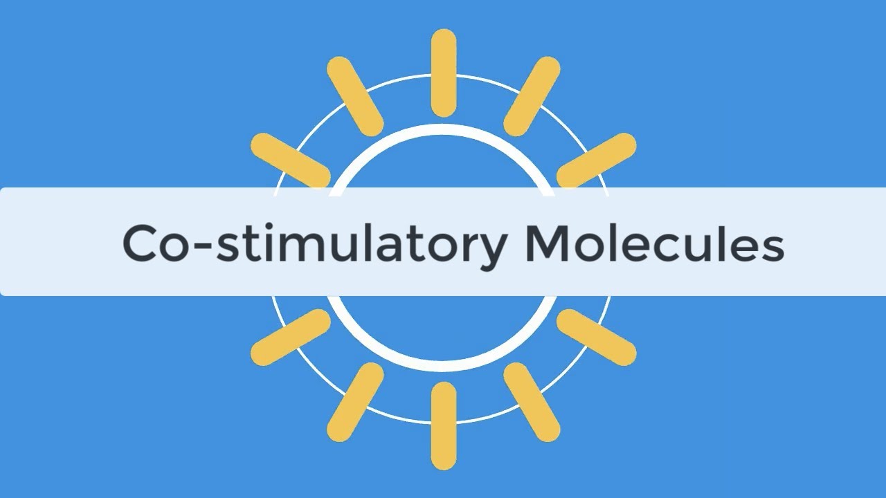 Check Point Inhibitors & Co-stimulatory Molecules Immunology Tutorial, Abatacept, Belatacept