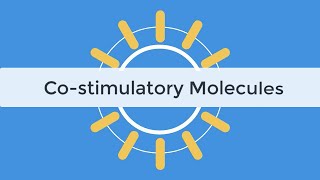 Check Point Inhibitors & Co-stimulatory Molecules Immunology Tutorial, Abatacept, Belatacept