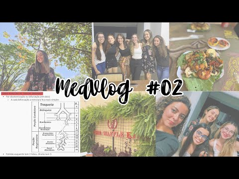 MedVlog na Unicamp #02 | Prova de fisiologia, aniversário, compras pra Intermed & prática de urina
