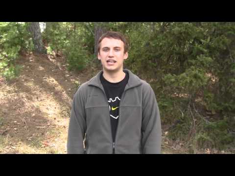 Concordia Testimony | Leadership Development | University Team Building