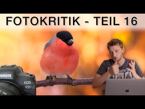 Was könntest DU besser machen? Bildkritik 16