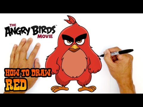 How to Draw Red | The Angry Birds Movie