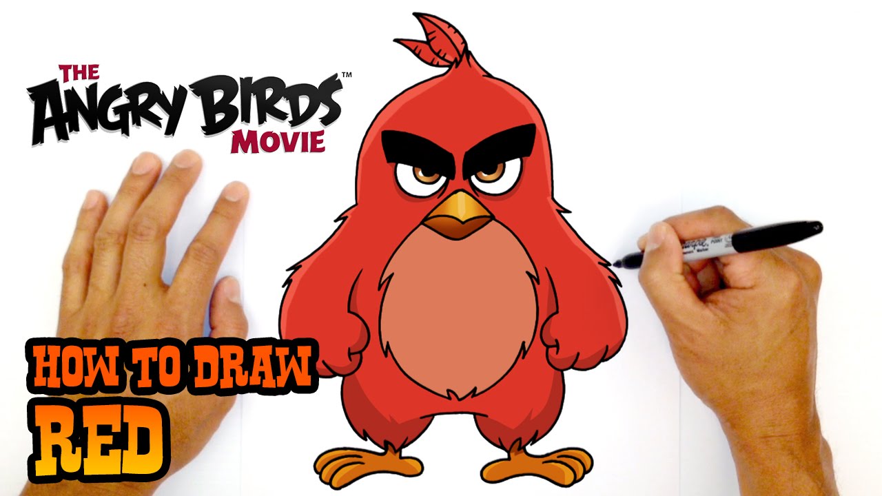 How to Draw Red | The Angry Birds Movie