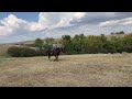 IMG 7646 1