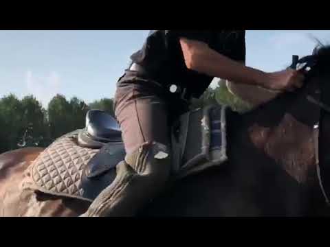 centre equestre marina mimizan galop sur le pied gauche engagement des postérieurs