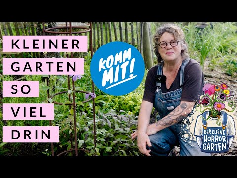 Garden tour in May - 40 m2 vegetable and ornamental garden I the little horror garden