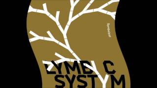 lymbyc systym - falling together